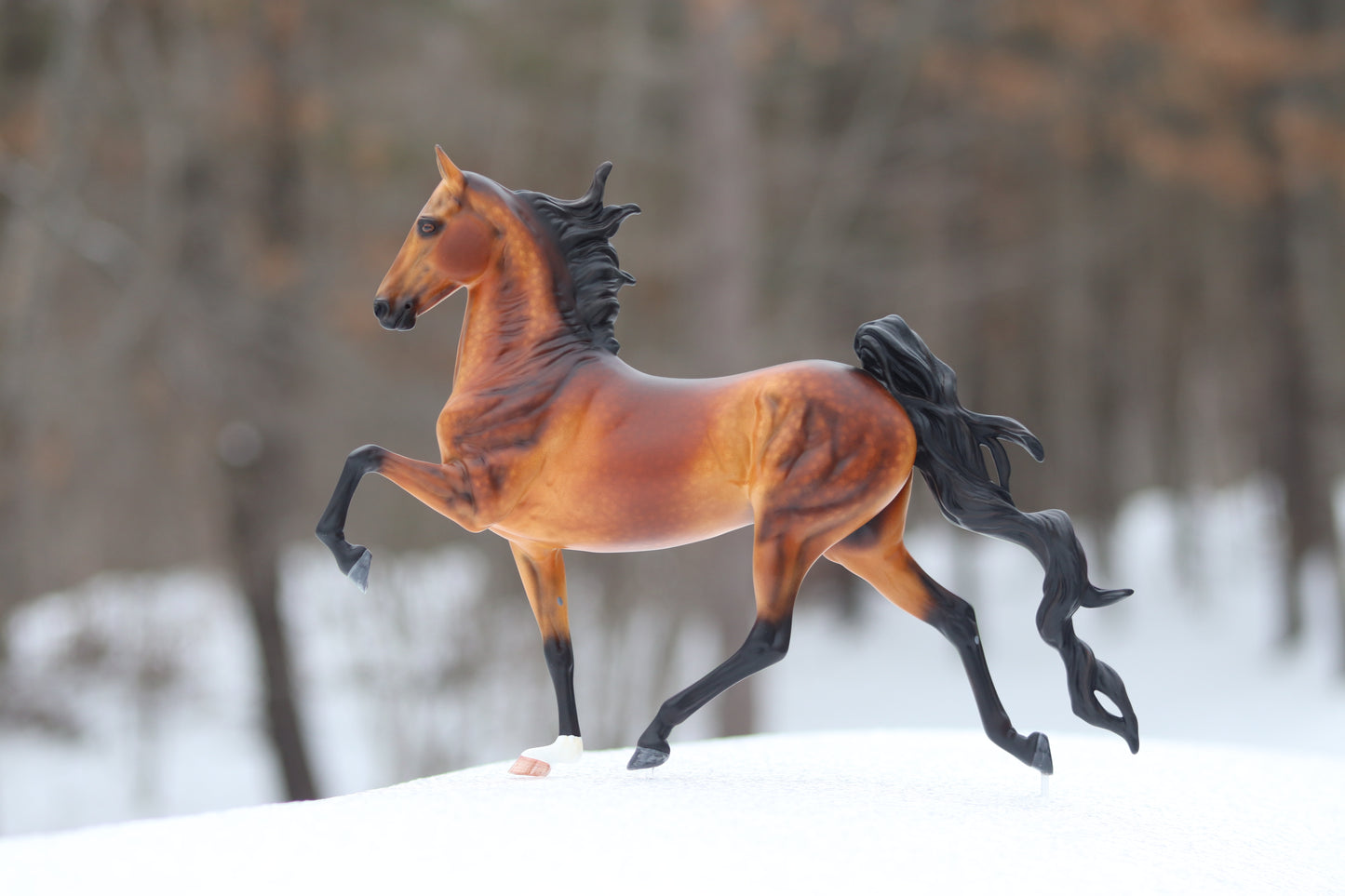 Custom Breyer American Saddlebred