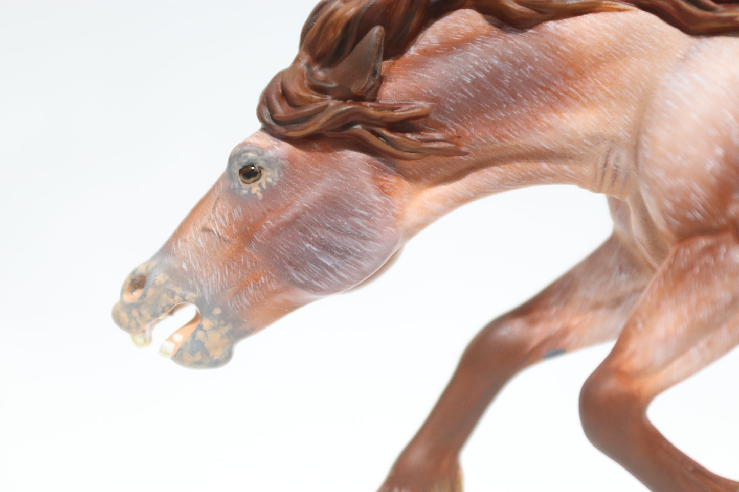 Varnish Appaloosa Artist Resin Bixby