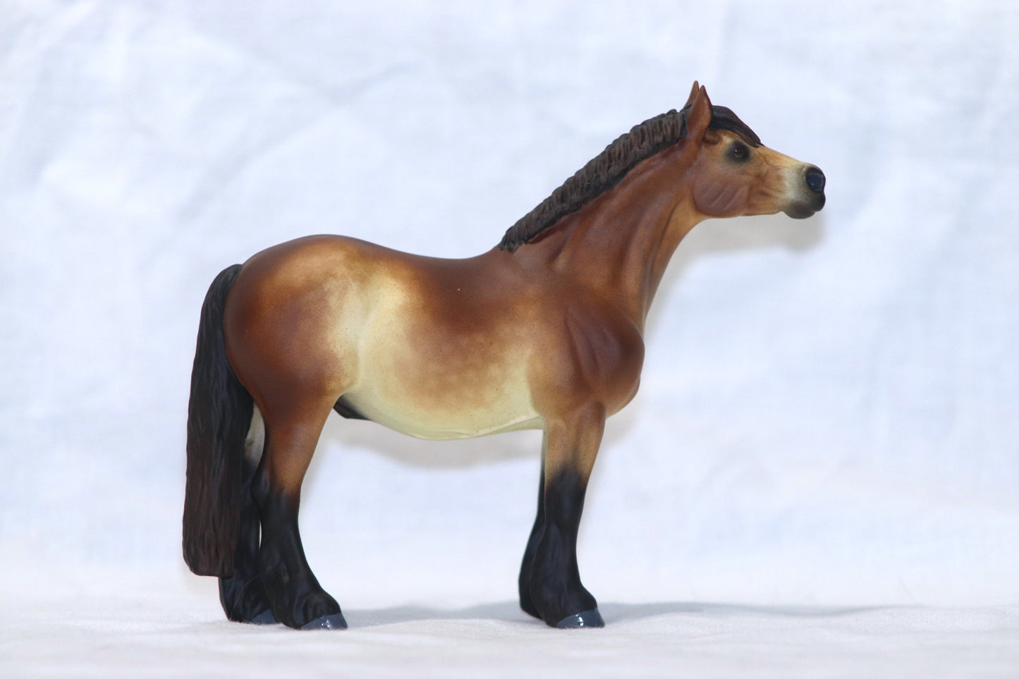 Custom stablemate Vaulting Draft