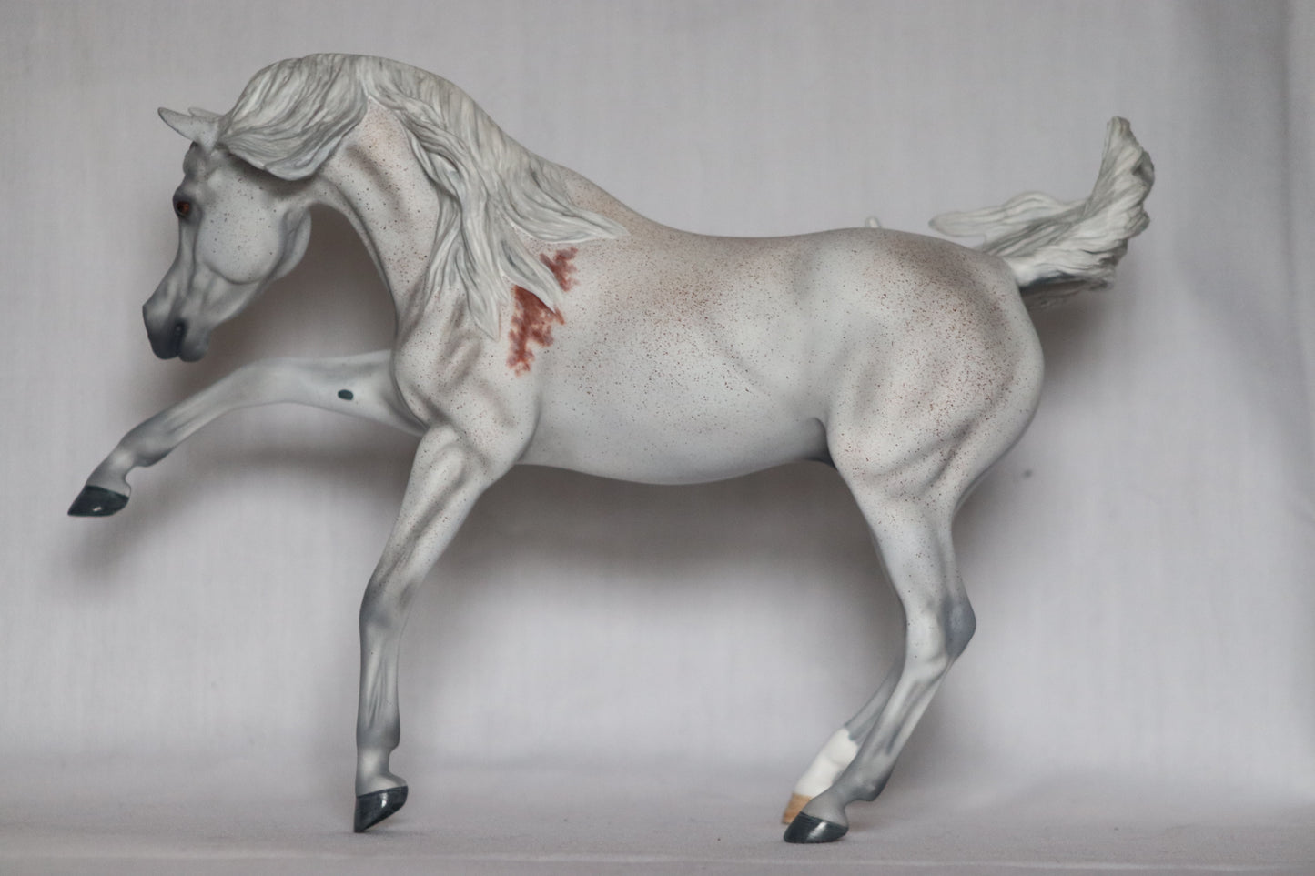 Custom Breyer Ashquar