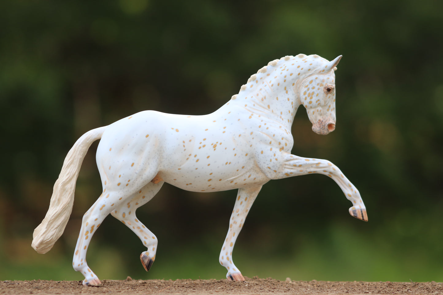 Custom Breyer Totilas