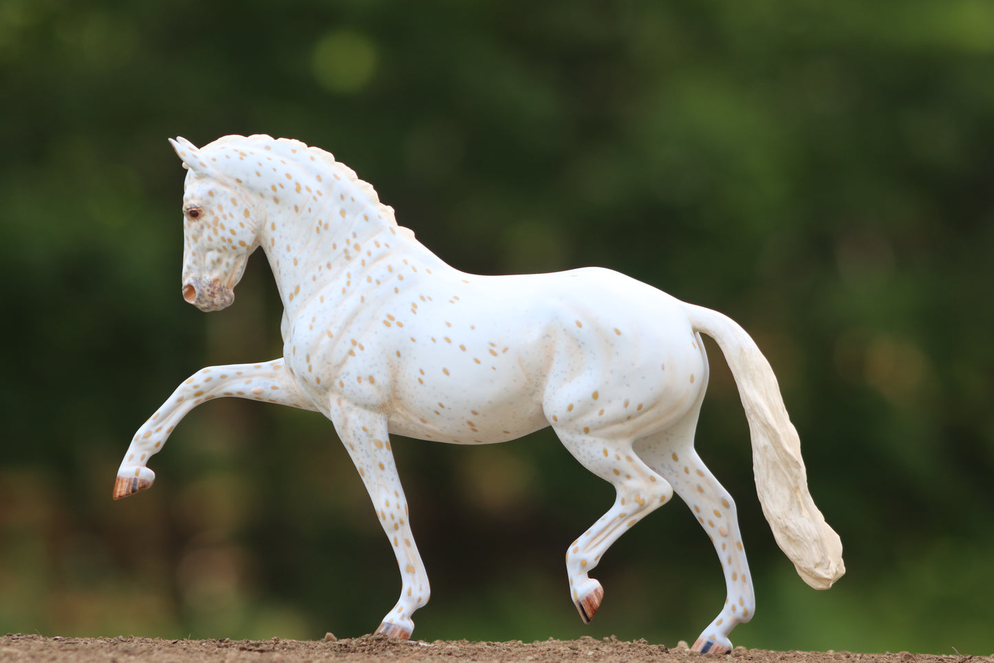 Custom Breyer Totilas