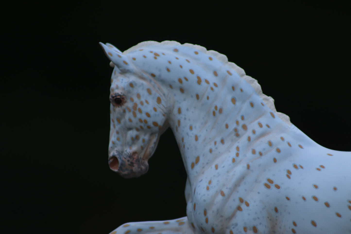 Custom Breyer Totilas