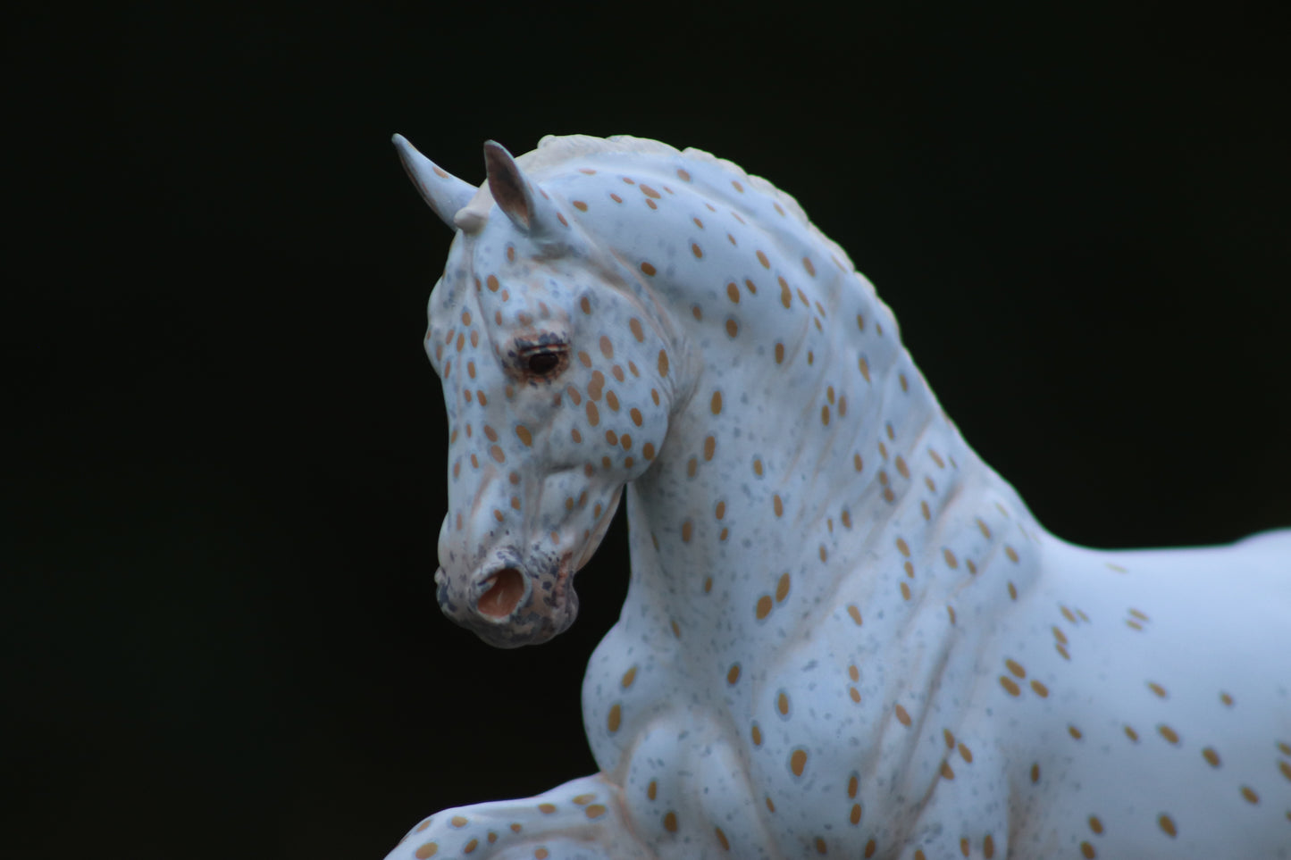 Custom Breyer Totilas