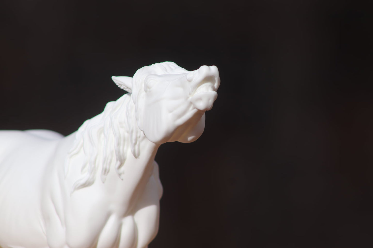 Artist Resin Casanova Traditional Scale