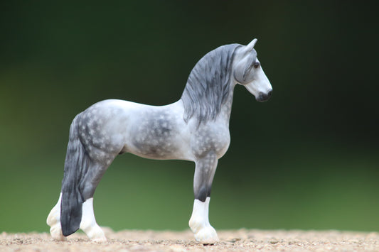 Custom Dapple Grey Django Stablemate