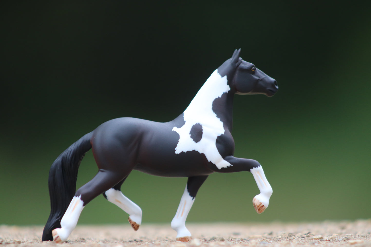 Custom Stablemate Cob