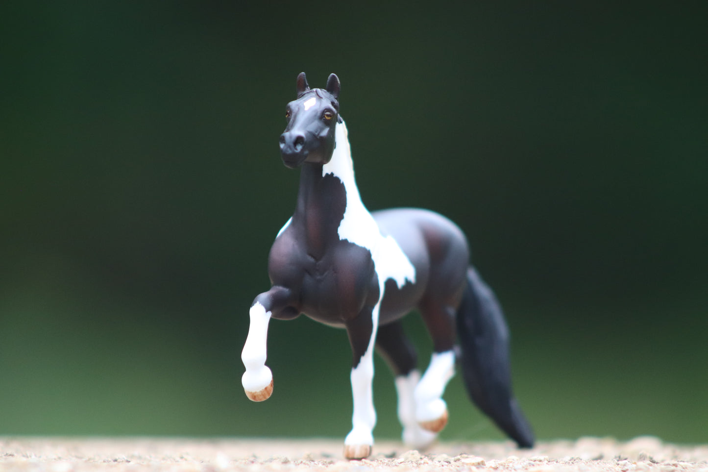 Custom Stablemate Cob