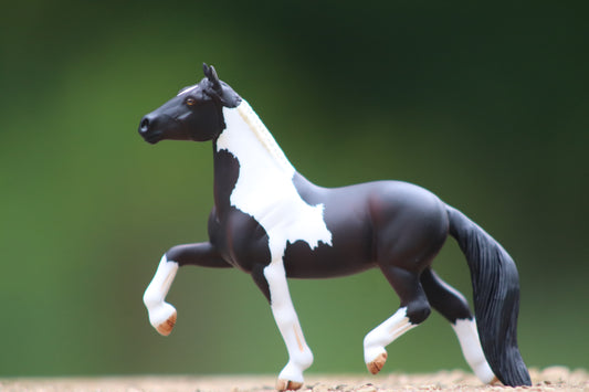 Custom Stablemate Cob