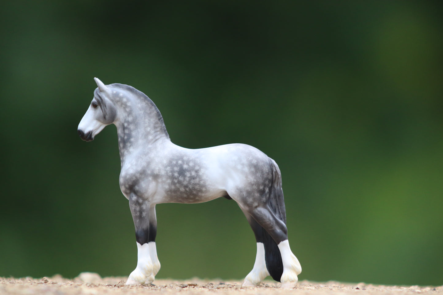 Custom Dapple Grey Django Stablemate