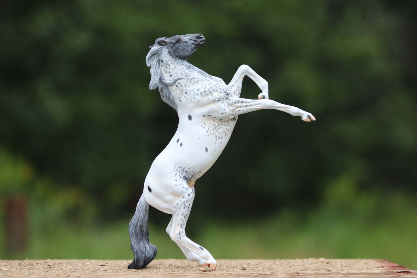 Custom Classic Rearing Mustang