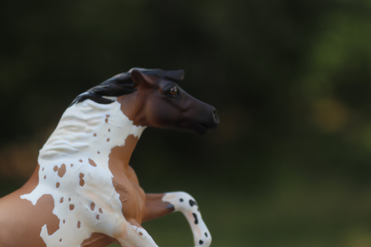 Custom Stablemate Alborozo Head Swap