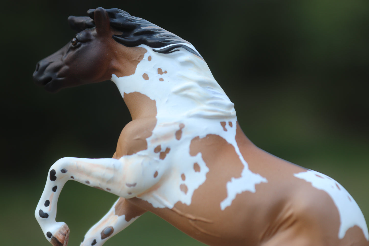 Custom Stablemate Alborozo Head Swap