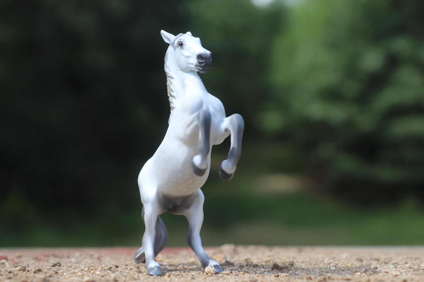 Dapple Grey Custom Stablemate Darwin