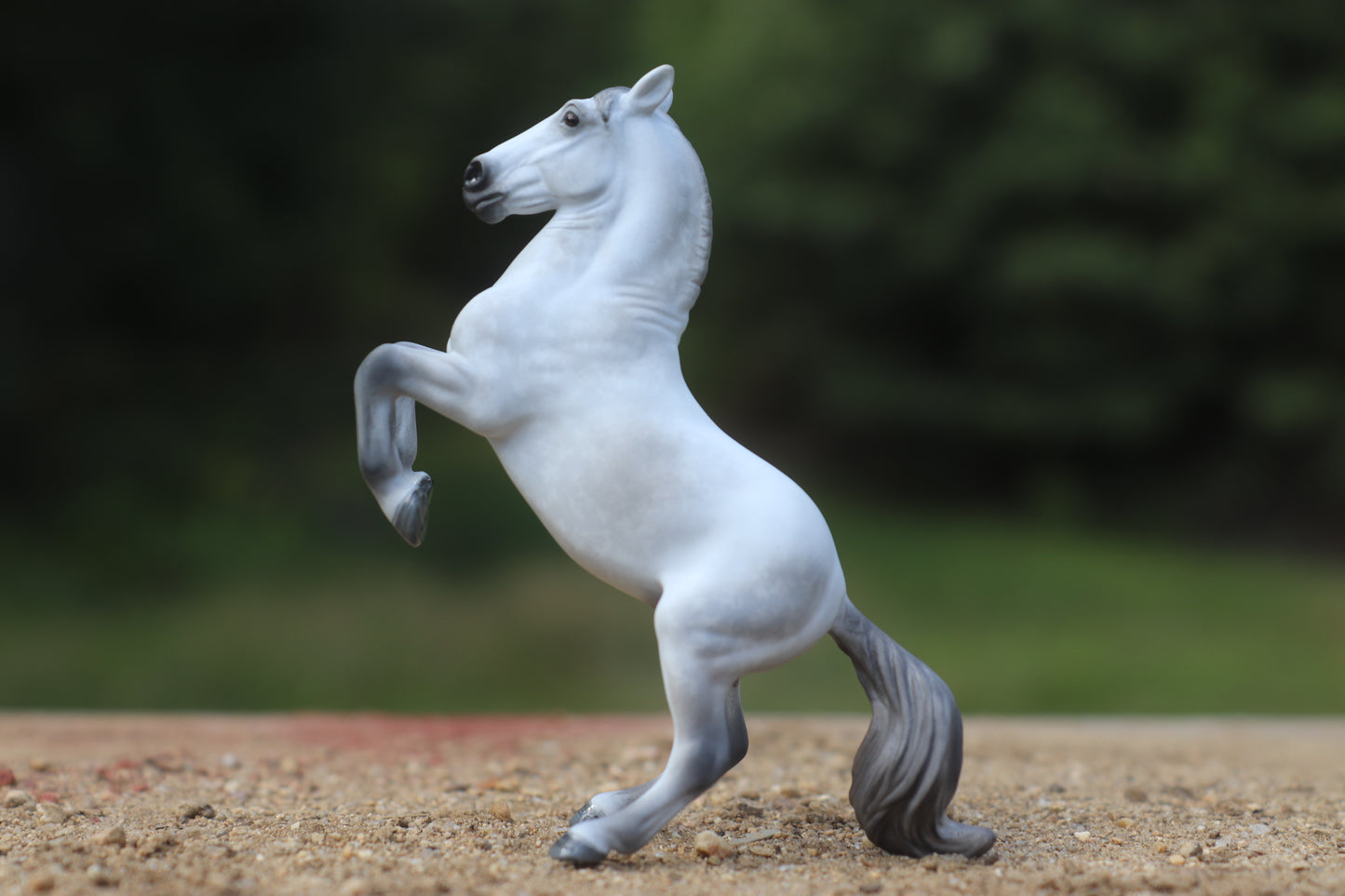 Dapple Grey Custom Stablemate Darwin