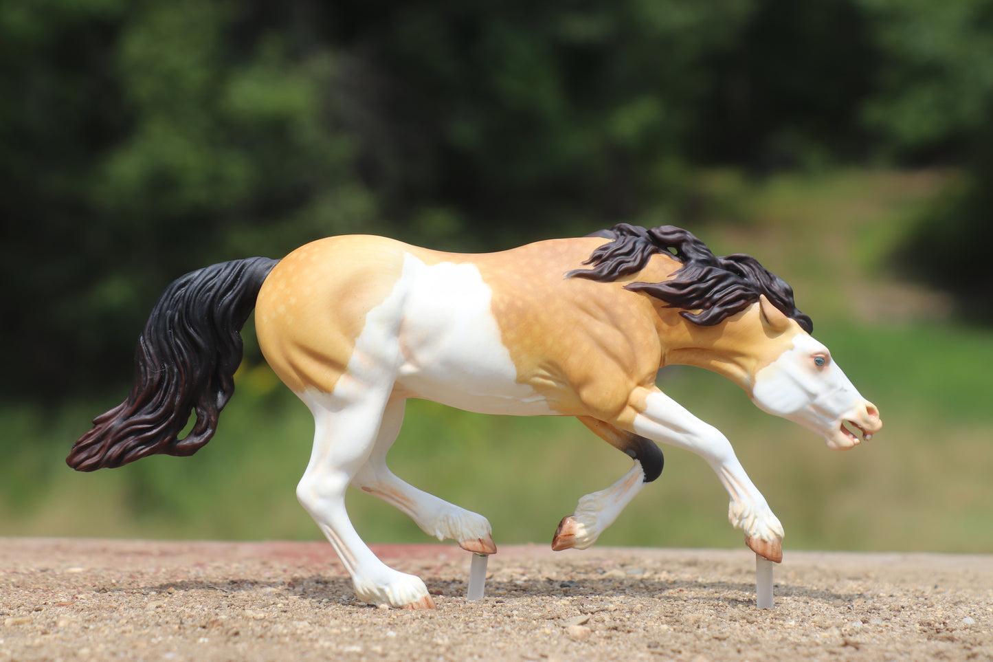 Custom painted Venti Scale Resin Bixby Buckskin Splash