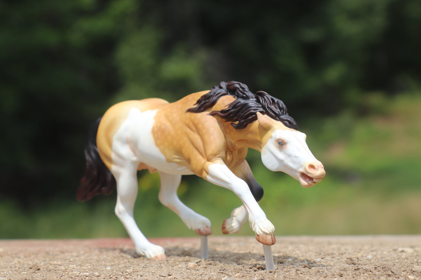 Custom painted Venti Scale Resin Bixby Buckskin Splash