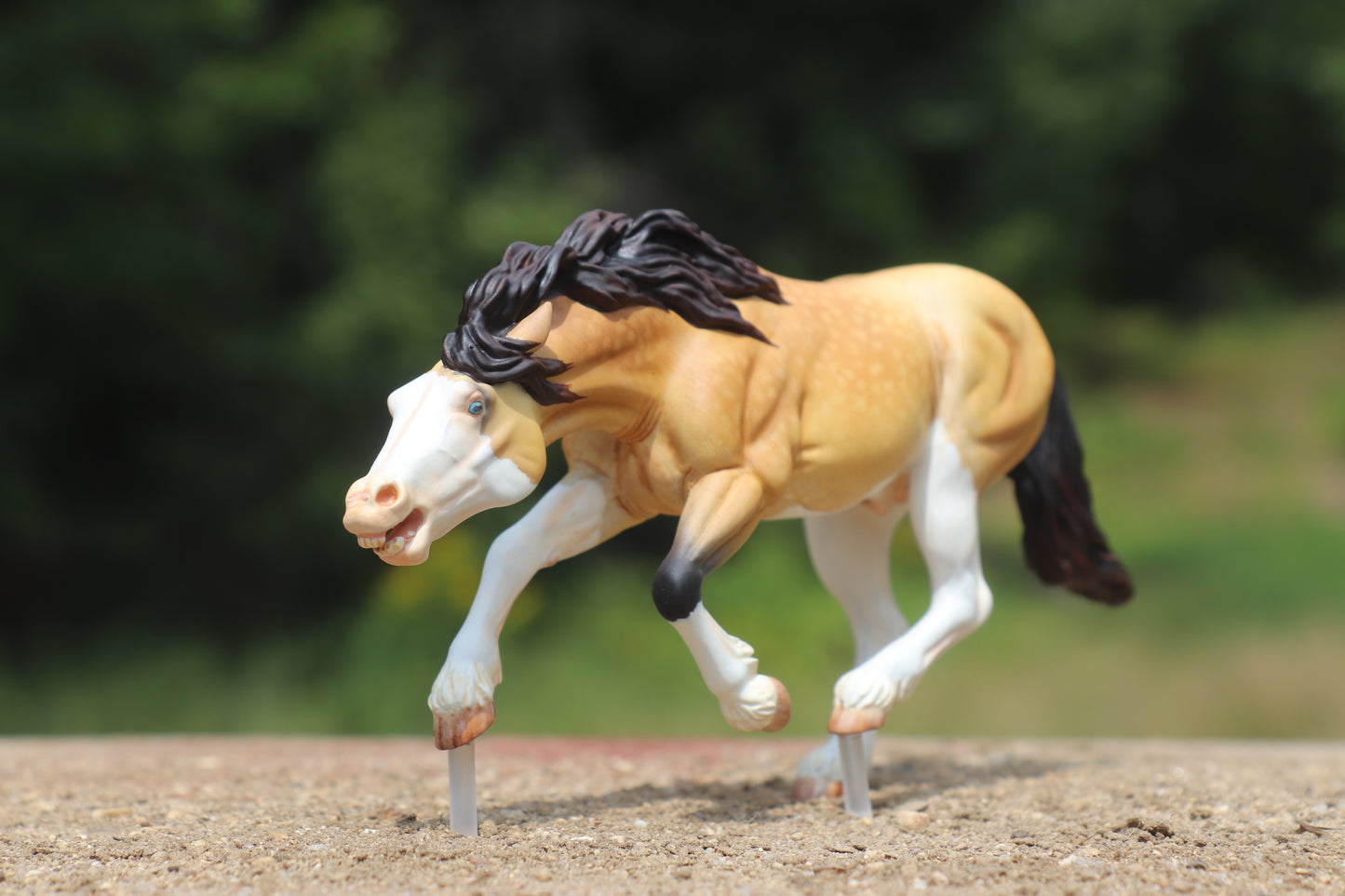 Custom painted Venti Scale Resin Bixby Buckskin Splash