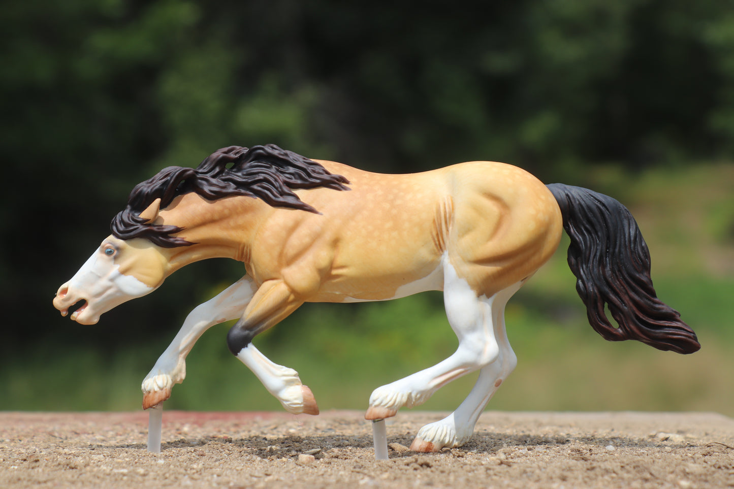 Custom painted Venti Scale Resin Bixby Buckskin Splash