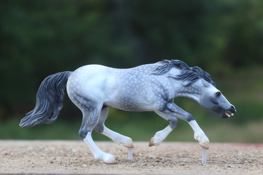 Custom painted Venti Scale Resin Bixby Dapple Grey