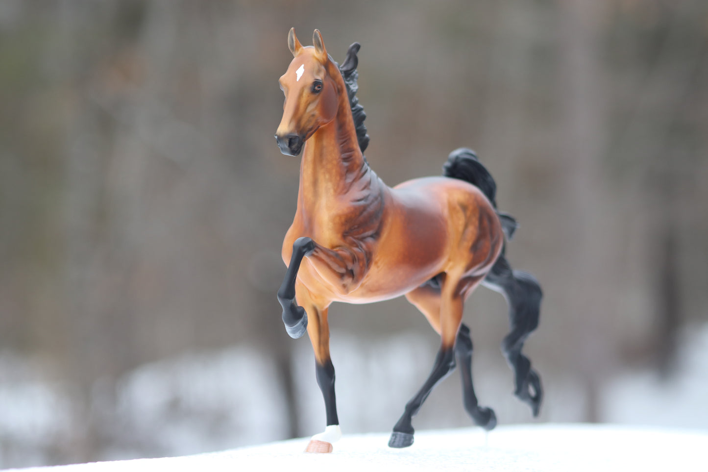 Custom Breyer American Saddlebred