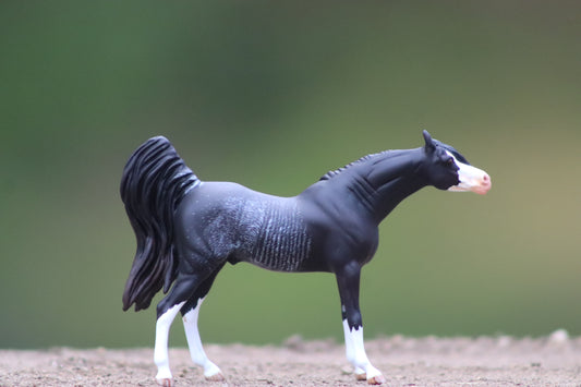 Custom stablemate Arabian Rabicano