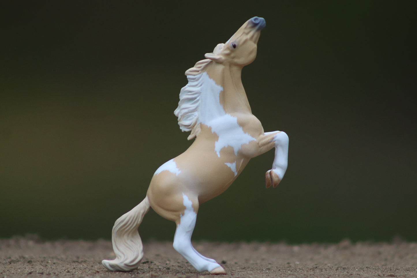 Custom Stablemate Darwin Head Swap