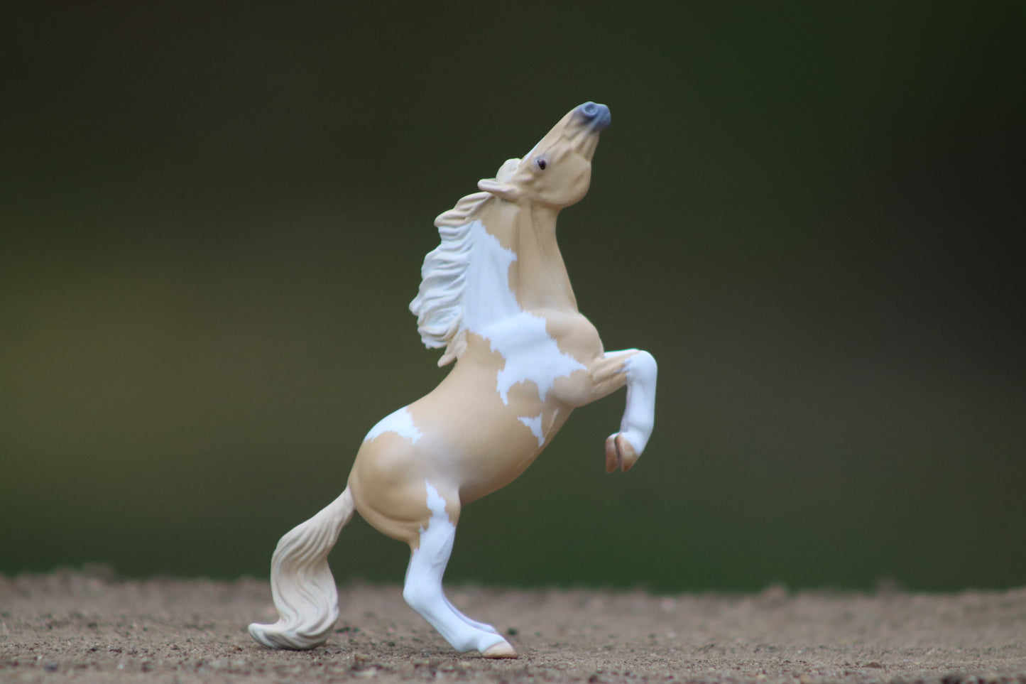 Custom Stablemate Darwin Head Swap