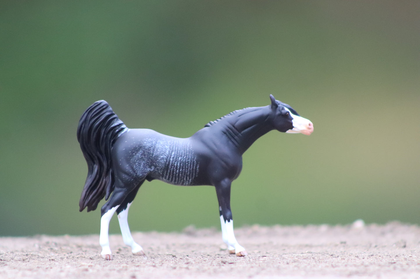 Custom stablemate Arabian Rabicano