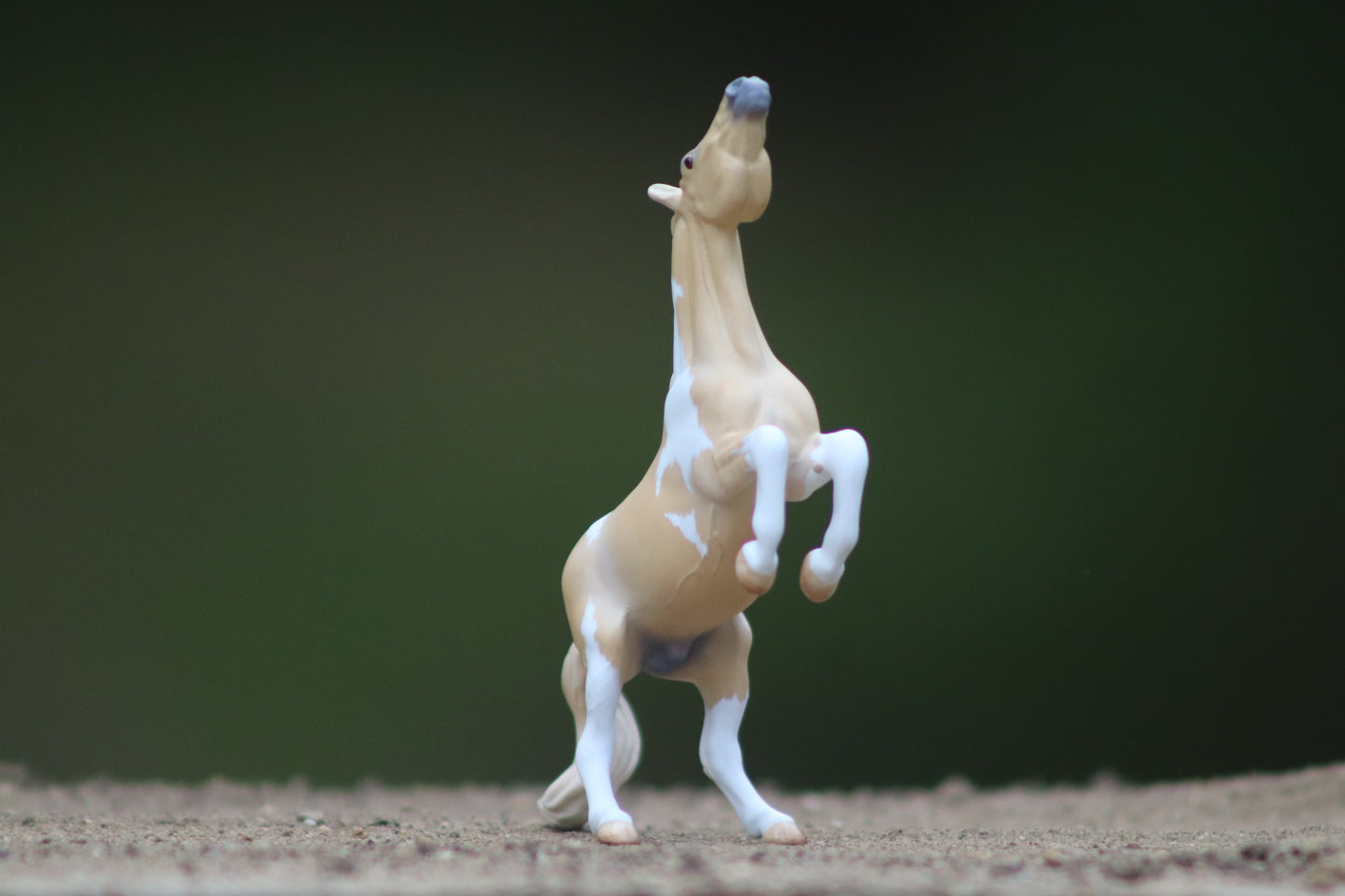 Custom Stablemate Darwin Head Swap