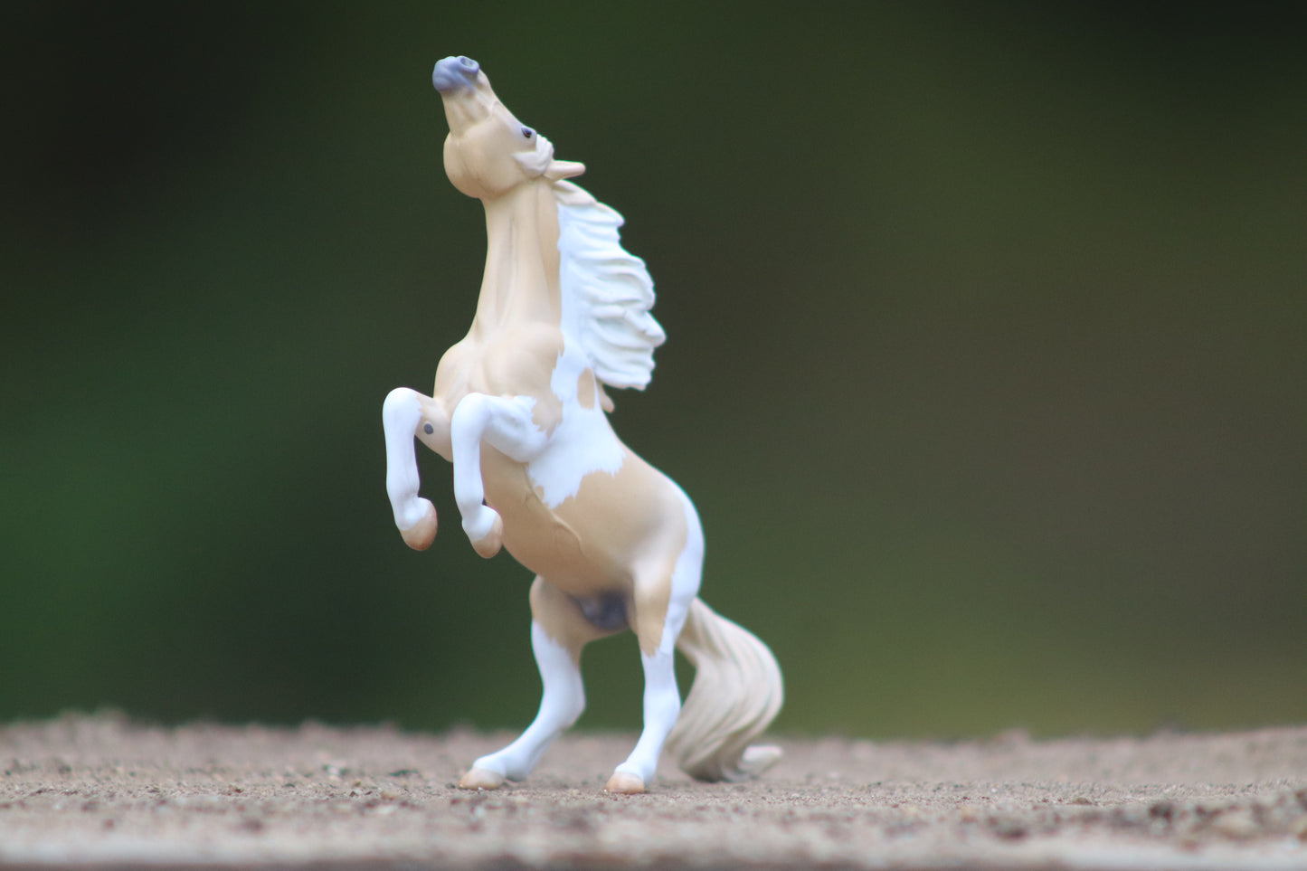 Custom Stablemate Darwin Head Swap