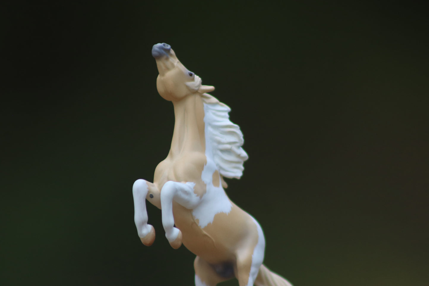 Custom Stablemate Darwin Head Swap