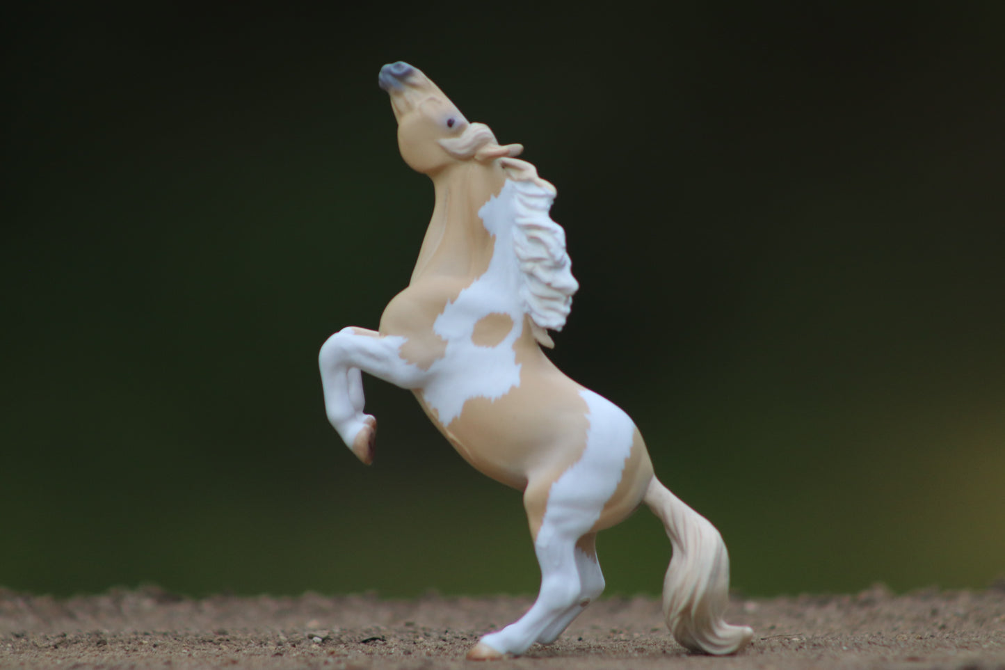 Custom Stablemate Darwin Head Swap