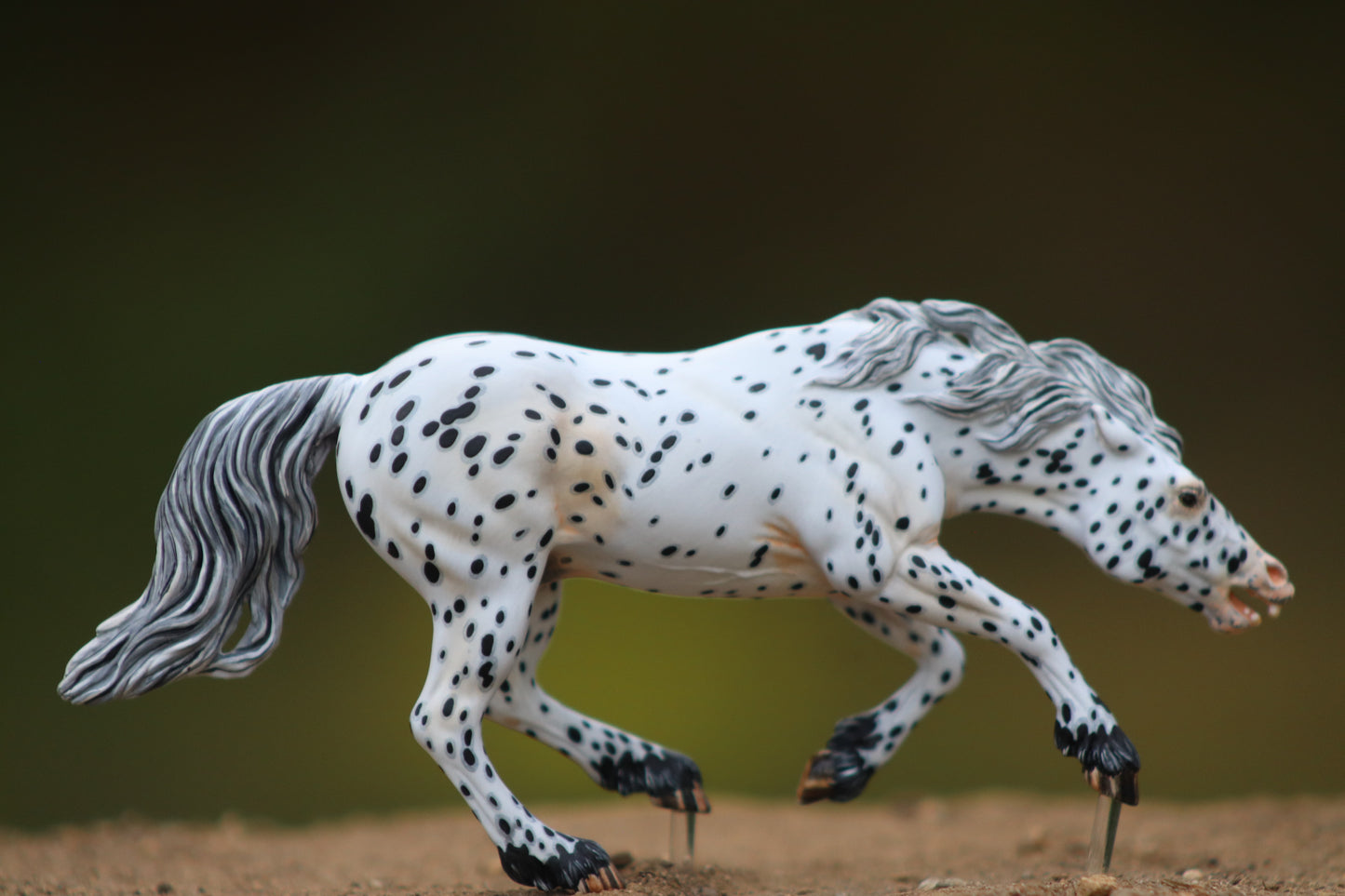 Painted Venti Scale Artist Resin Bixby Appaloosa