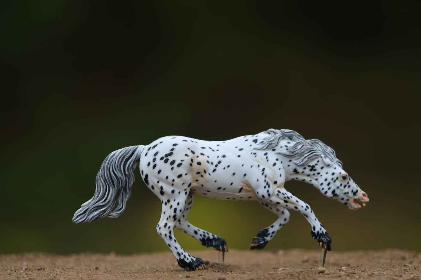 Painted Venti Scale Artist Resin Bixby Appaloosa