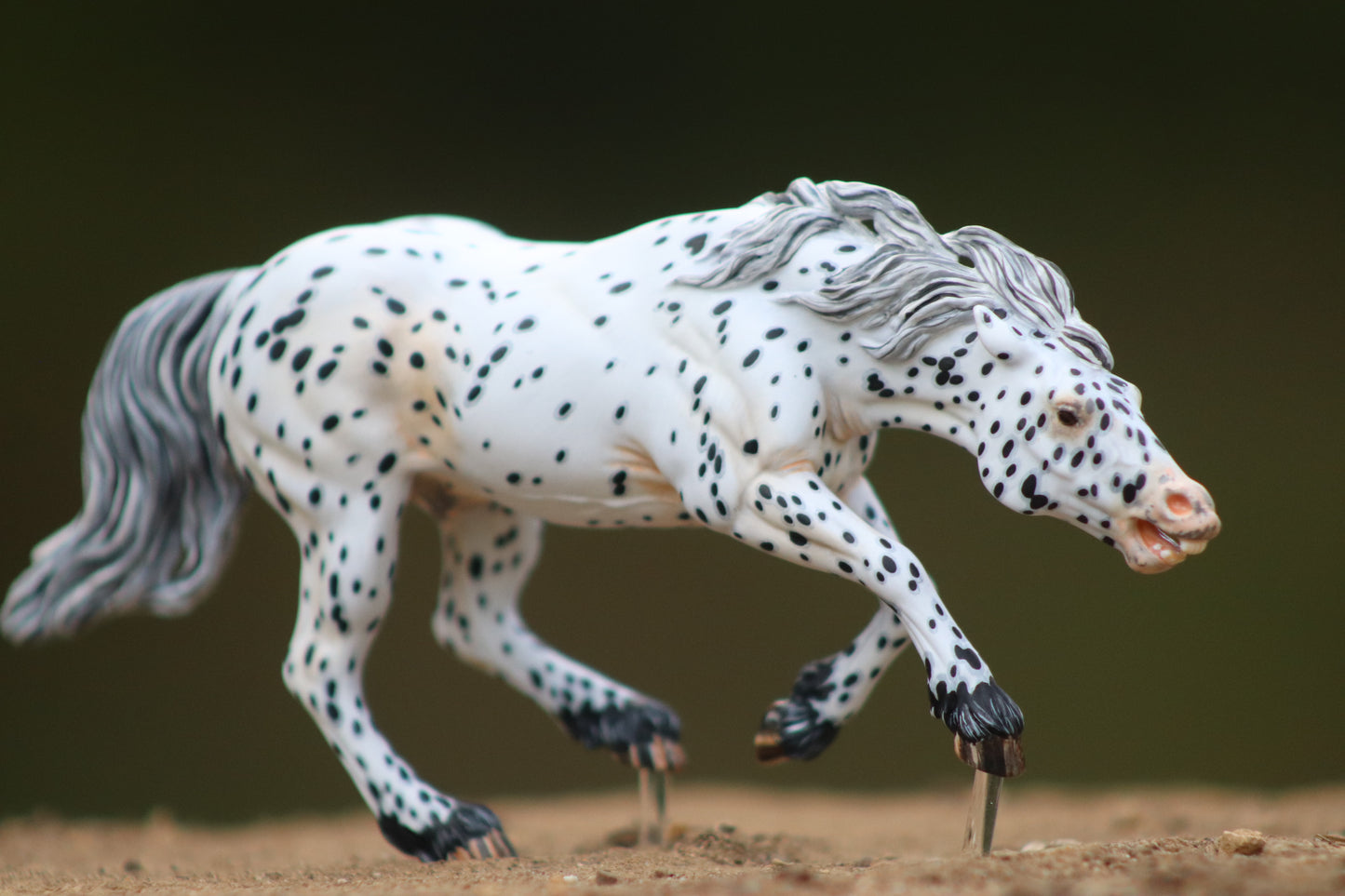Painted Venti Scale Artist Resin Bixby Appaloosa