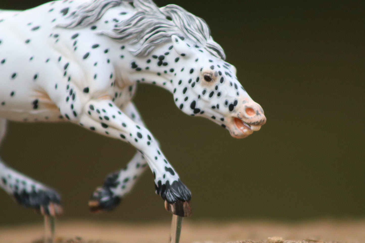 Painted Venti Scale Artist Resin Bixby Appaloosa