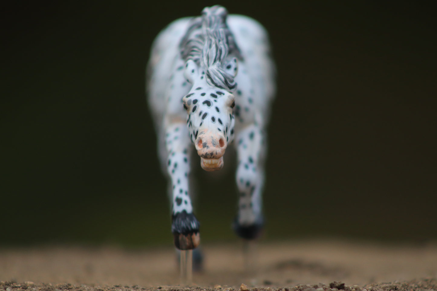 Painted Venti Scale Artist Resin Bixby Appaloosa