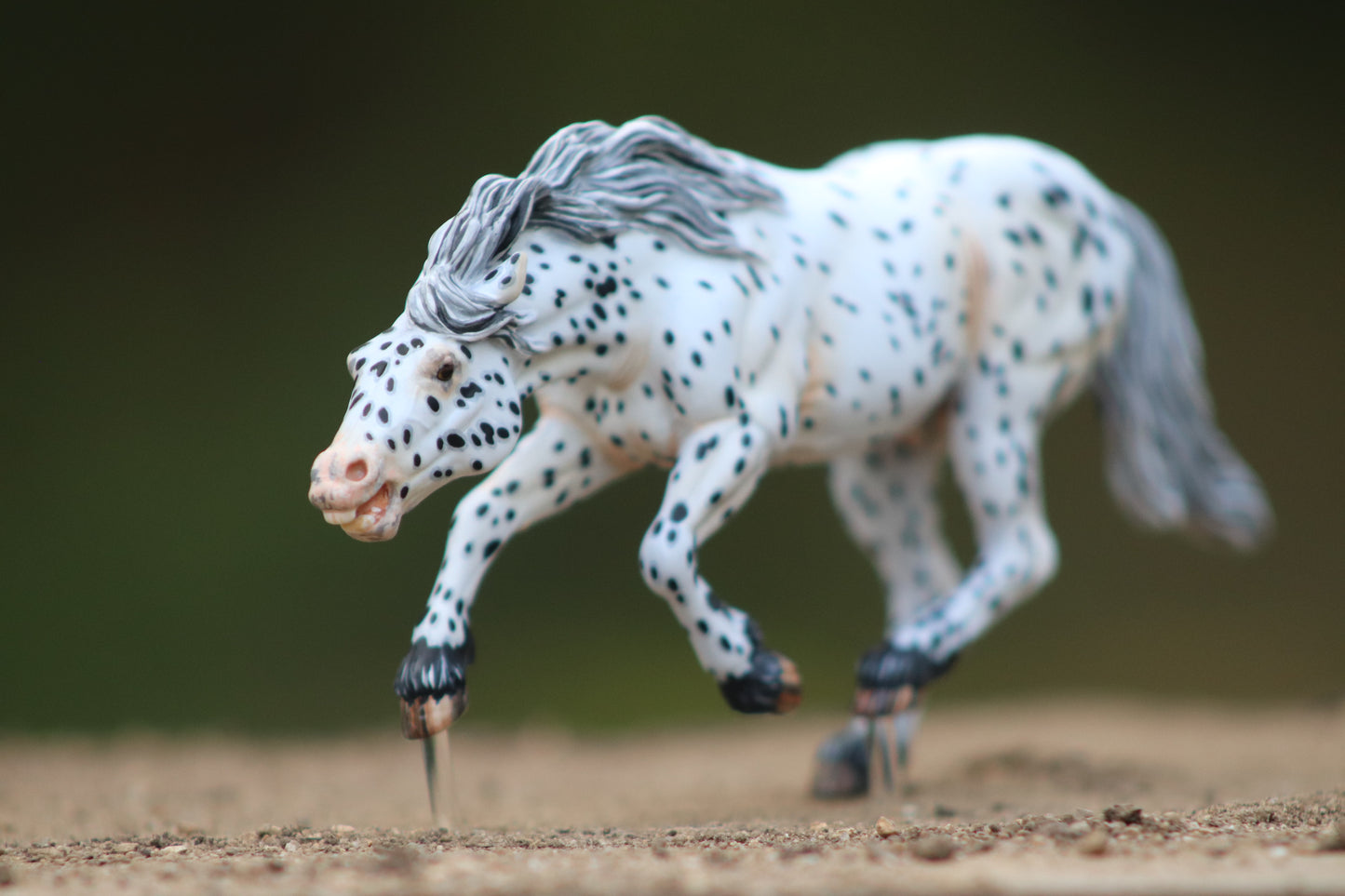 Painted Venti Scale Artist Resin Bixby Appaloosa
