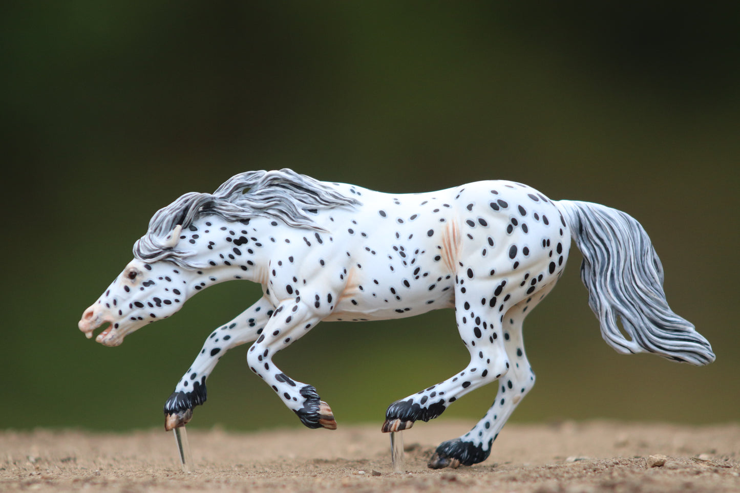 Painted Venti Scale Artist Resin Bixby Appaloosa