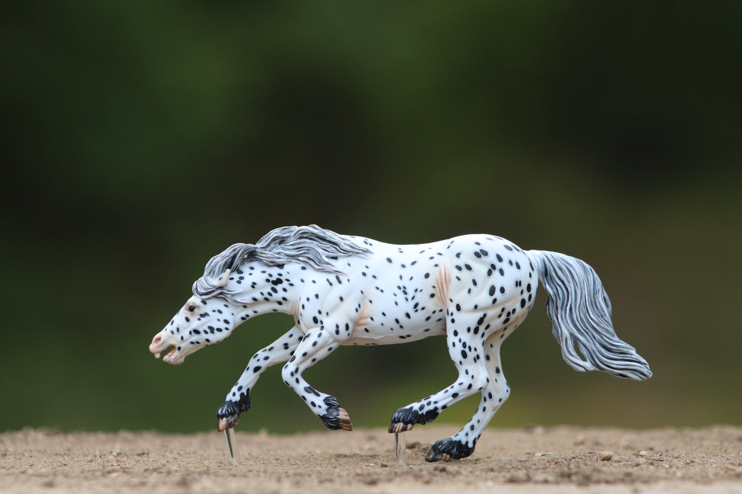 Painted Venti Scale Artist Resin Bixby Appaloosa