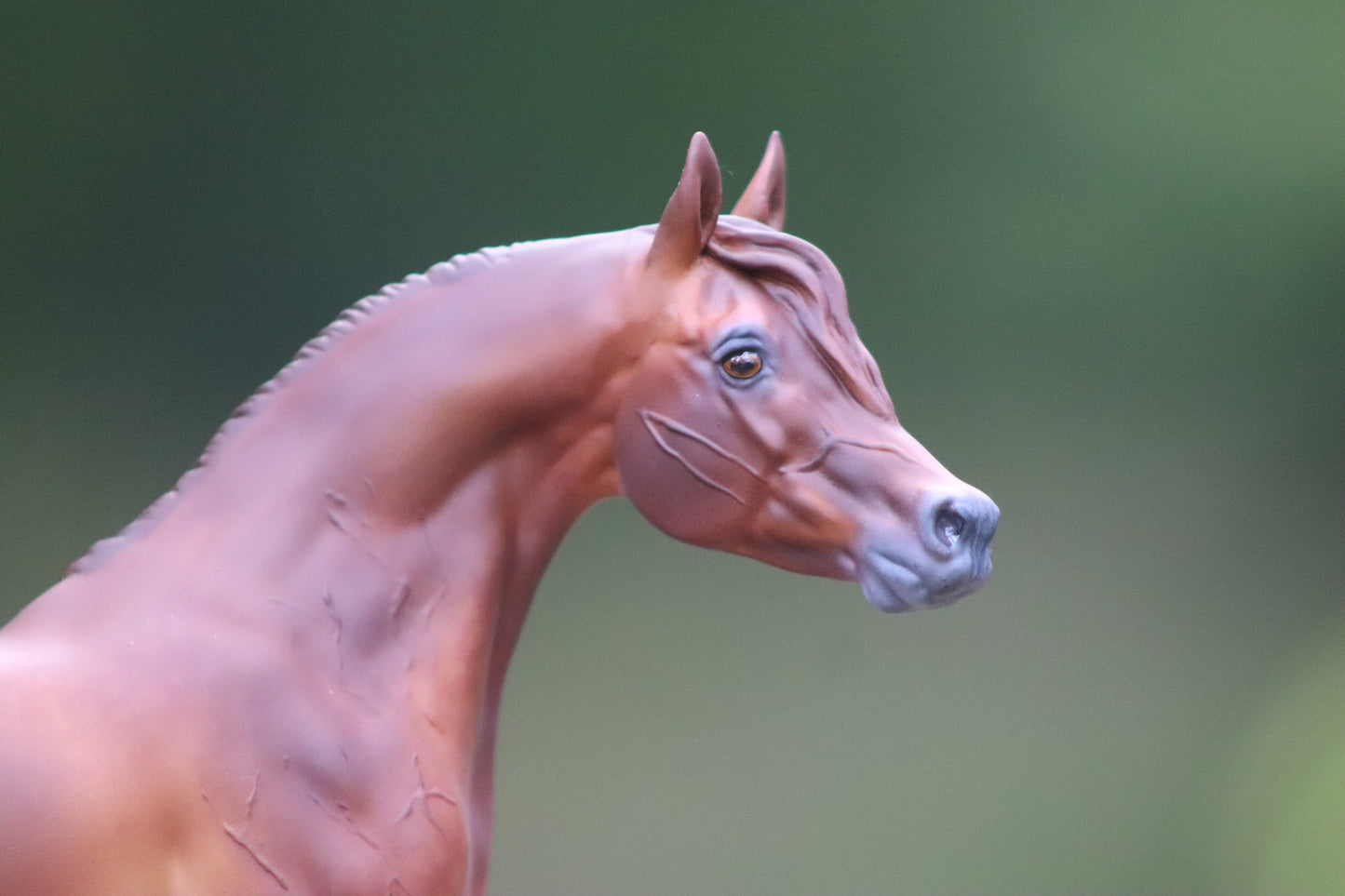 Breyer Paddock Pals Arabian