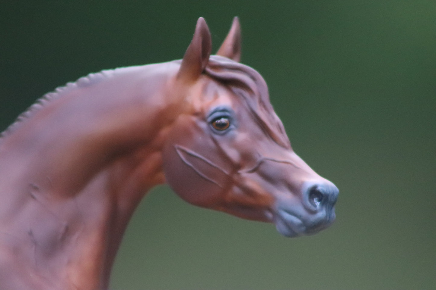 Breyer Paddock Pals Arabian