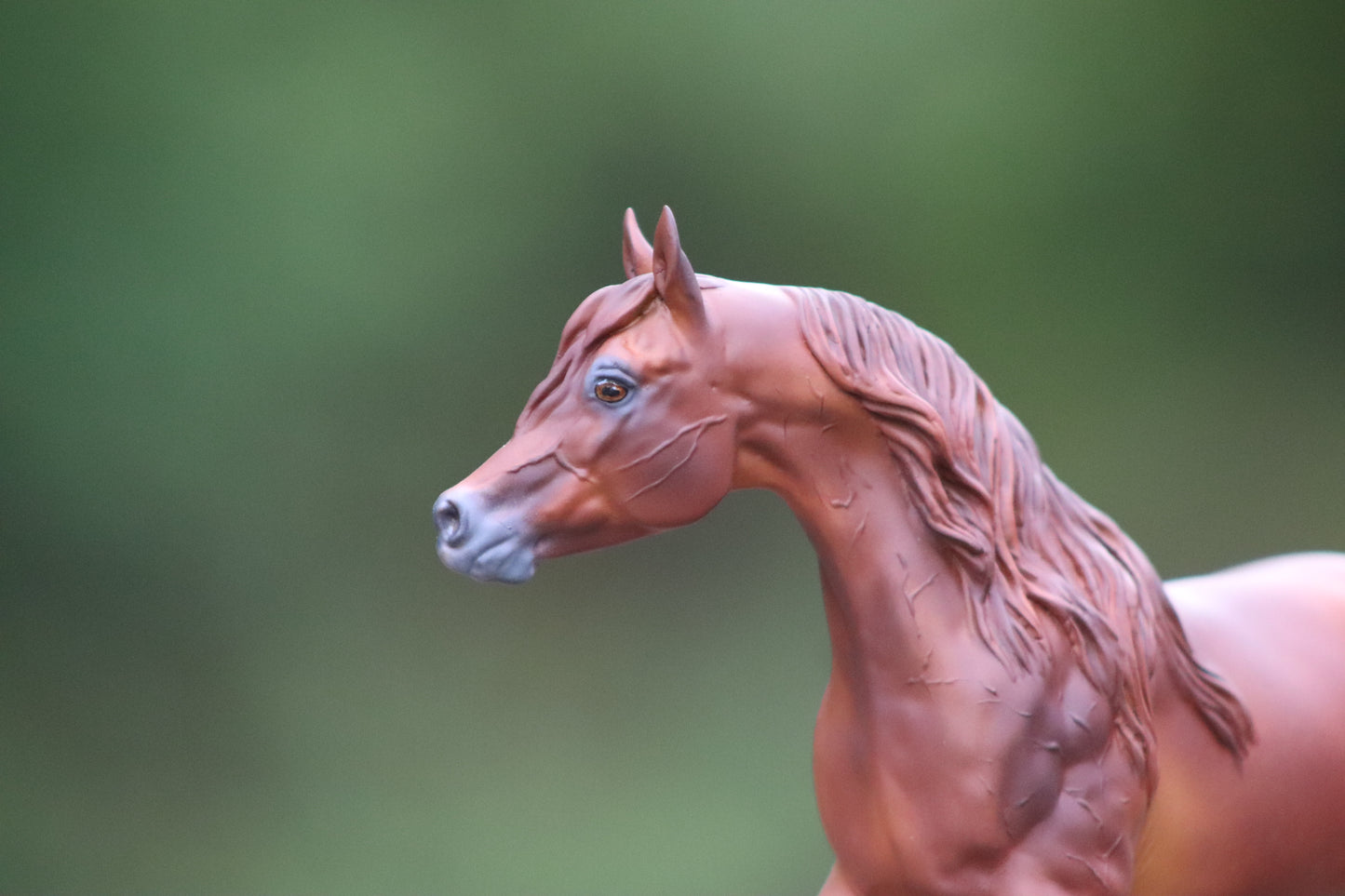 Breyer Paddock Pals Arabian