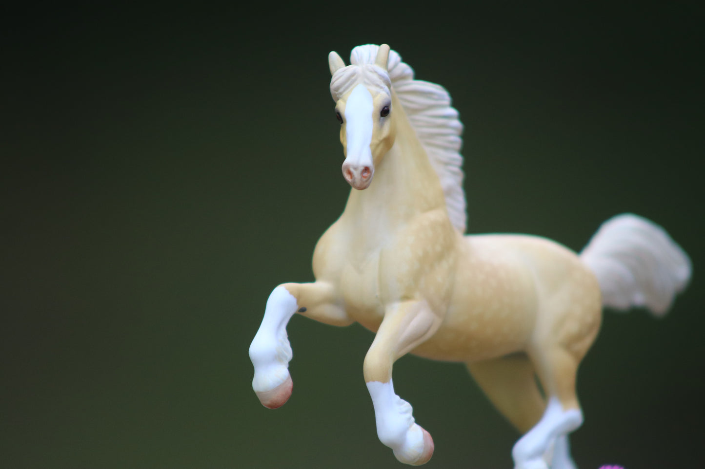 Drastic Custom Stablemate Cob