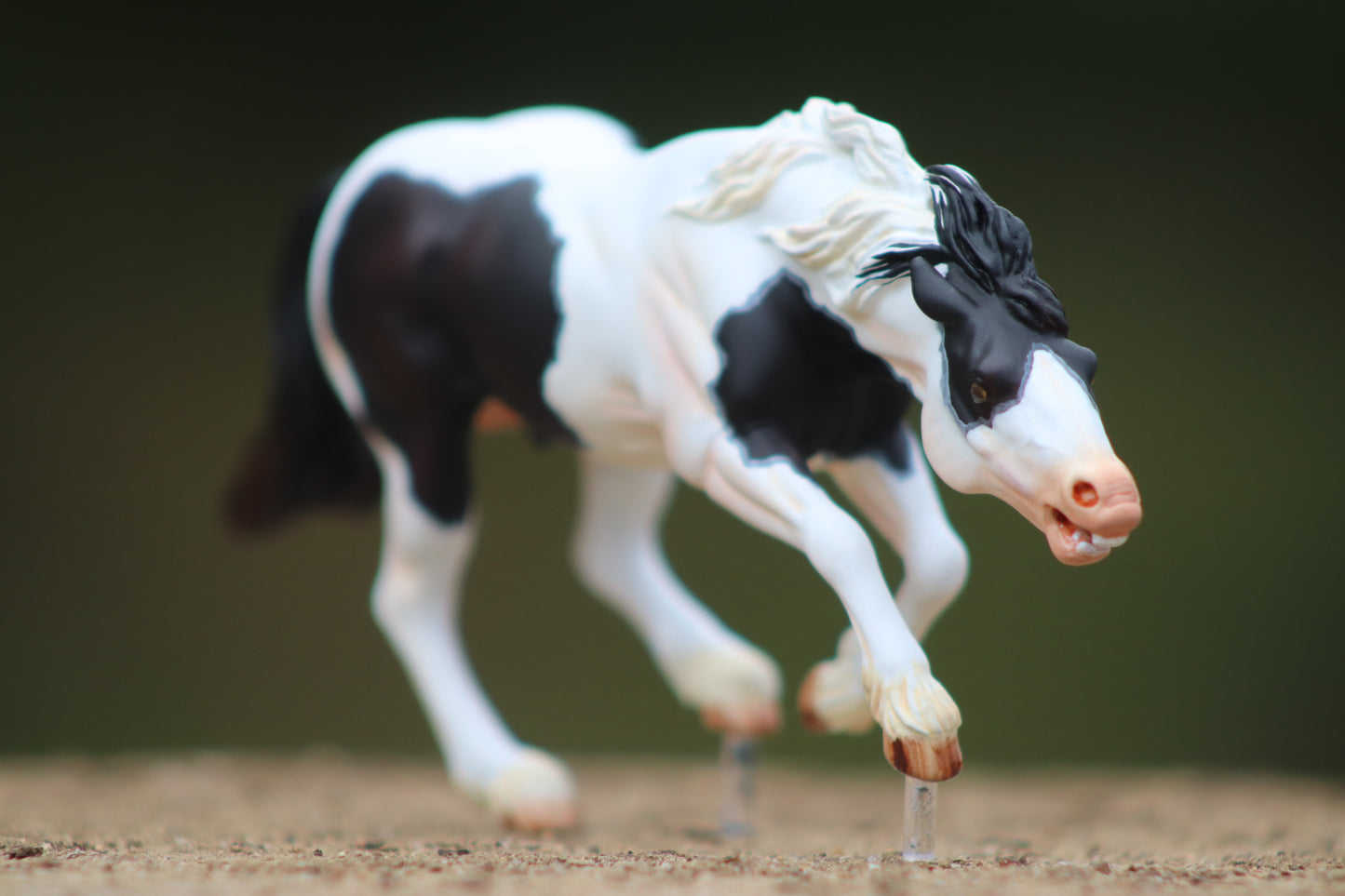 Black Tovero Resin Bixby