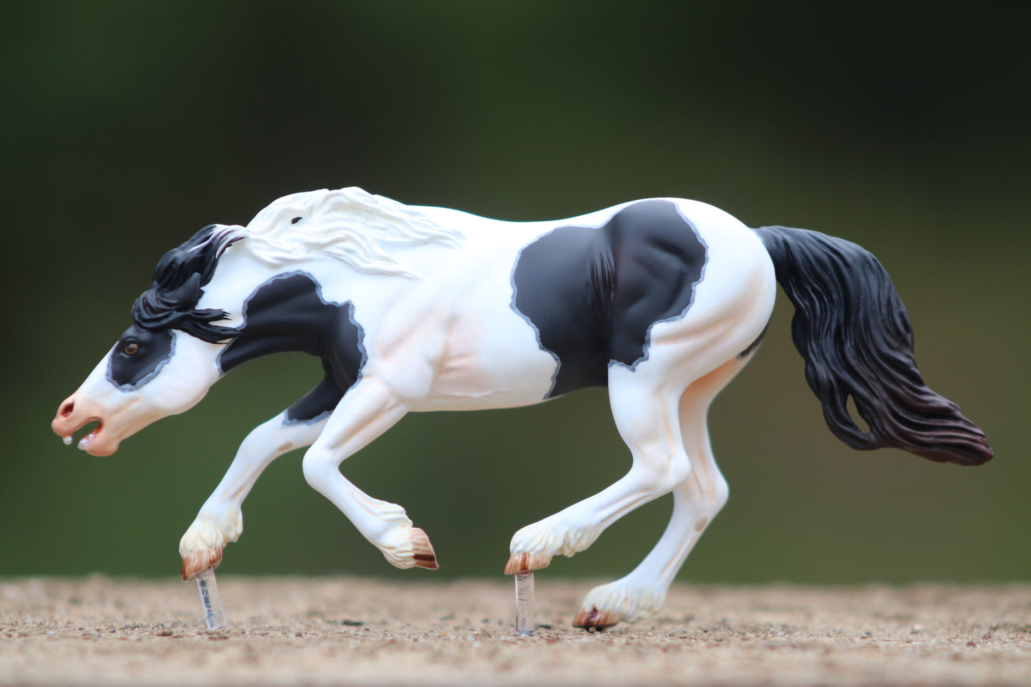 Black Tovero Resin Bixby