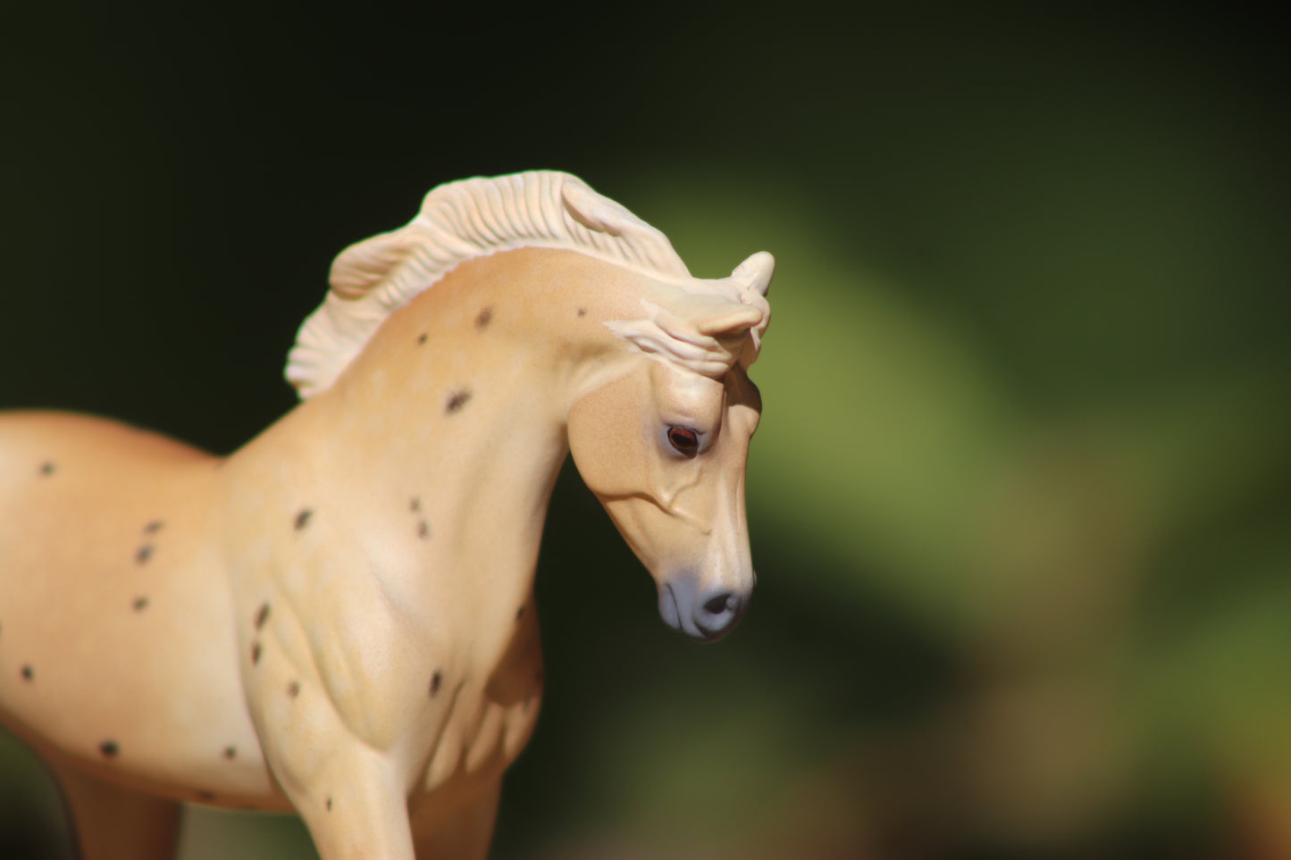 Custom Stablemate Trotting Warmblood