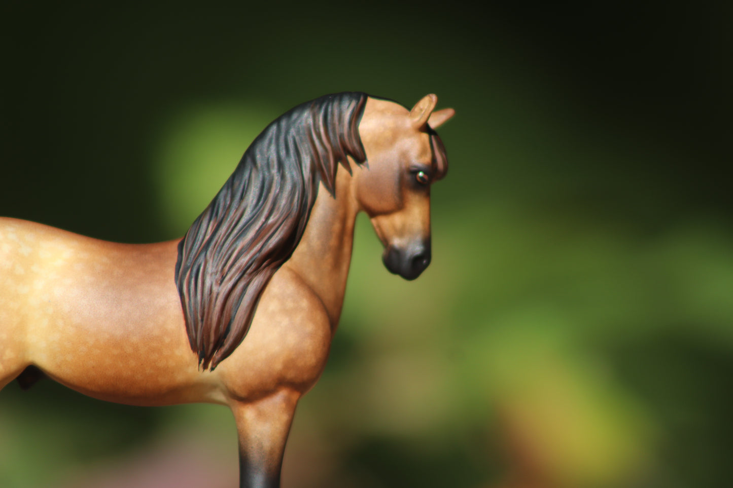 Custom Stablemate Kit