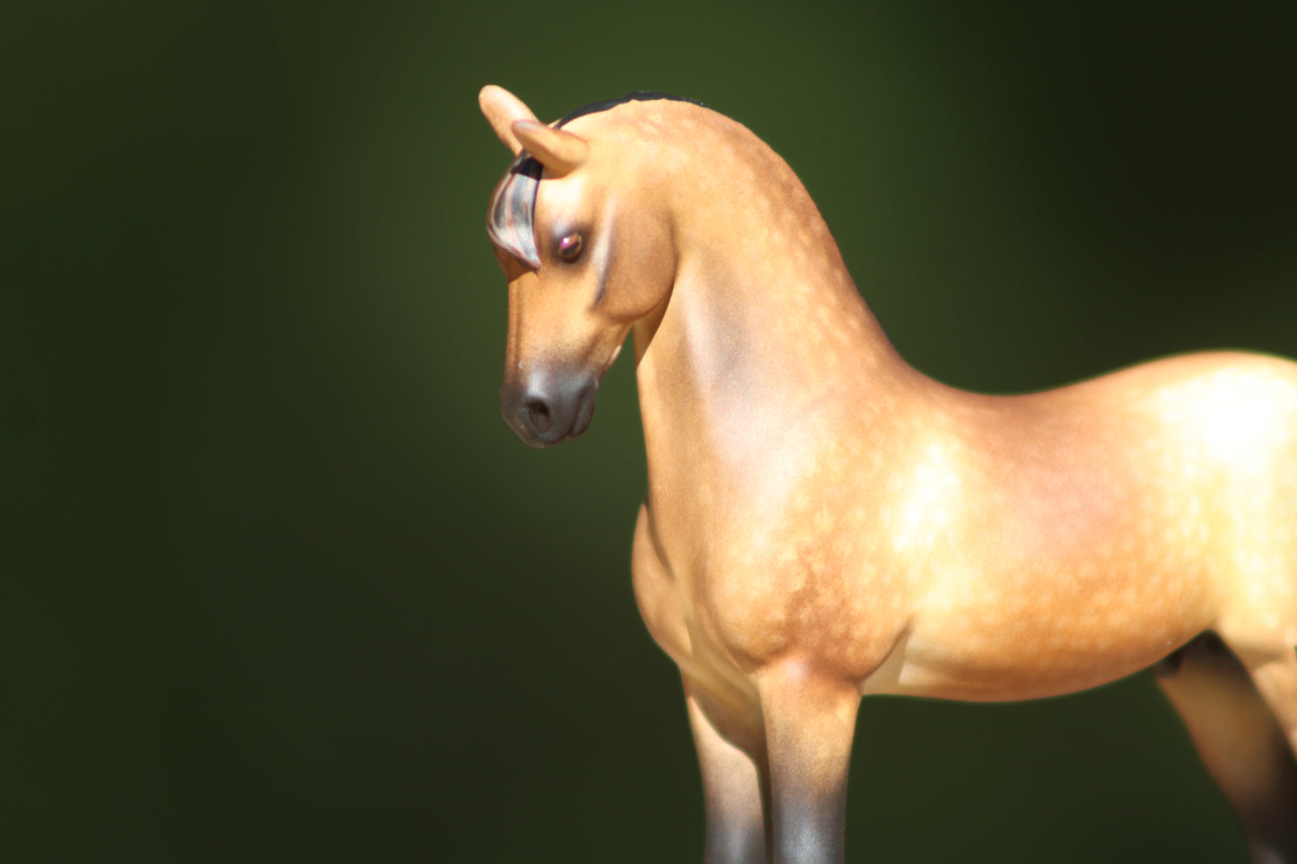 Custom Stablemate Kit